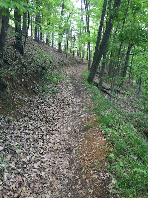 3 mile walking path around Lake Laura