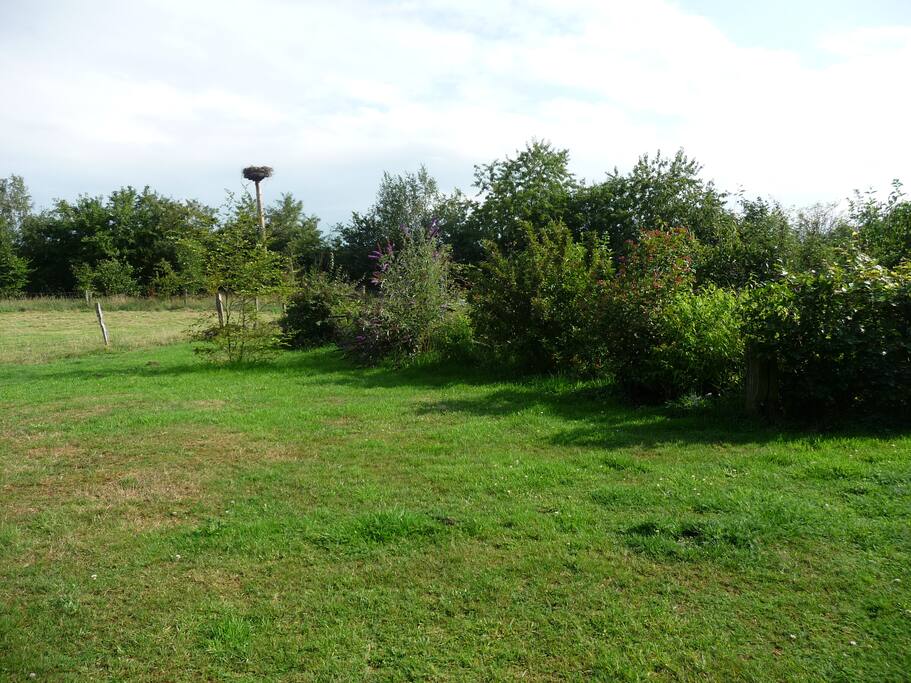 uitzicht op het ooievaarsnest