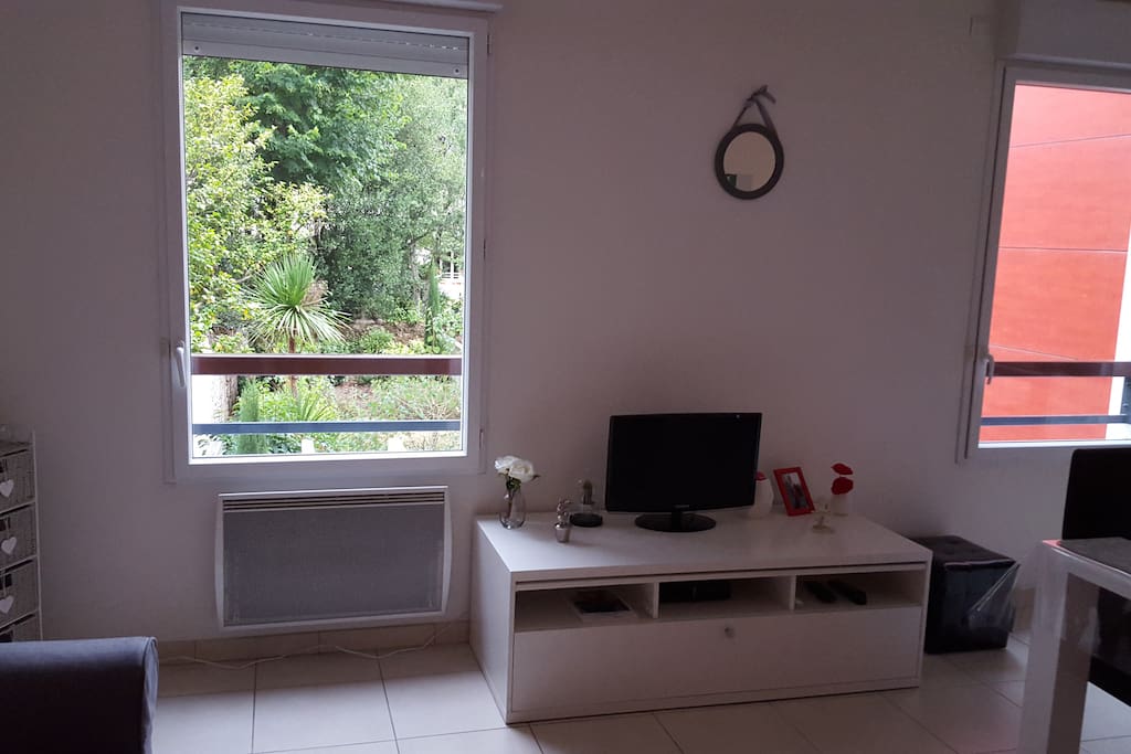 tv actuelle beaucoup plus grance ; vue sur jardin commun