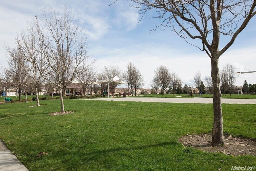 The Park across the street