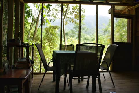 Jaguar House