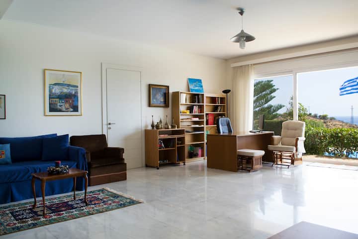 Family Room (lower floor)