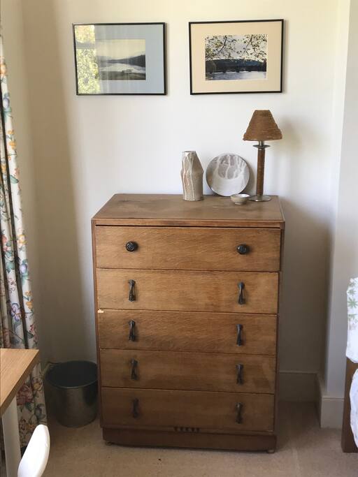chest