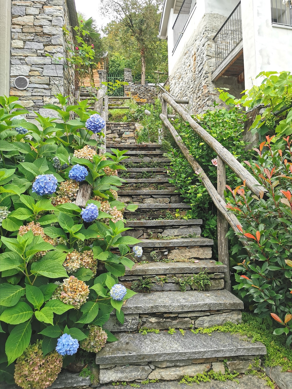 Stone steps lead upward through a garden with abundant greenery. Blue and green hydrangeas bloom alongside, complemented by vibrant foliage. The path is flanked by rustic wooden railings, inviting a peaceful ascent toward the houses above.