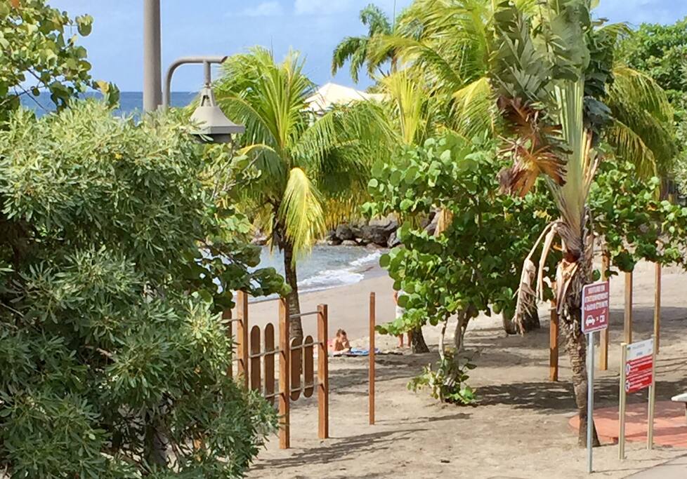 vue sur la plage de l'appartement