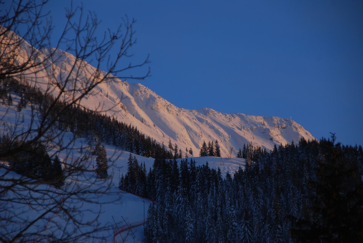 Snow-capped mountains are prominently featured, bathed in warm sunlight against a deep blue sky. The landscape is framed by dark evergreen trees, creating a serene winter scene that emphasizes the beauty of the surrounding nature.