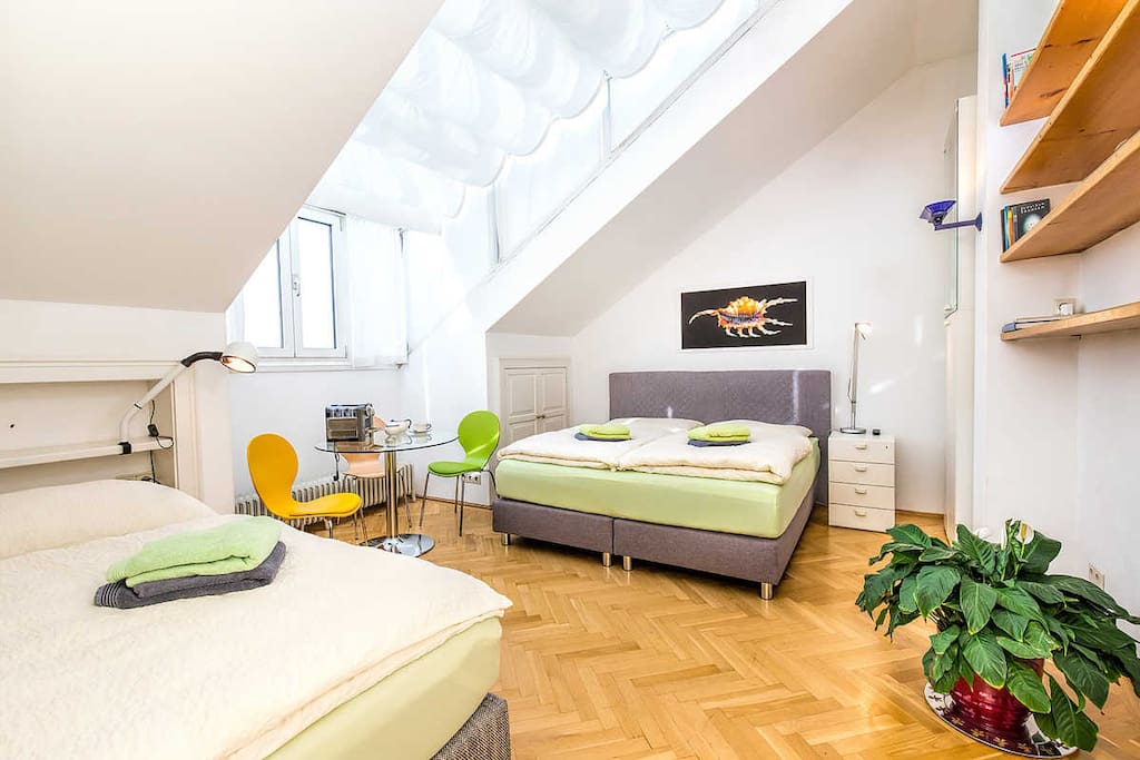 LuxuryPenthouse airconditioned in the♥️of Vienna Apartments for Rent