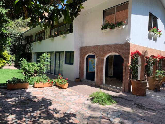 Coyoacan Mosaico gallery image 5