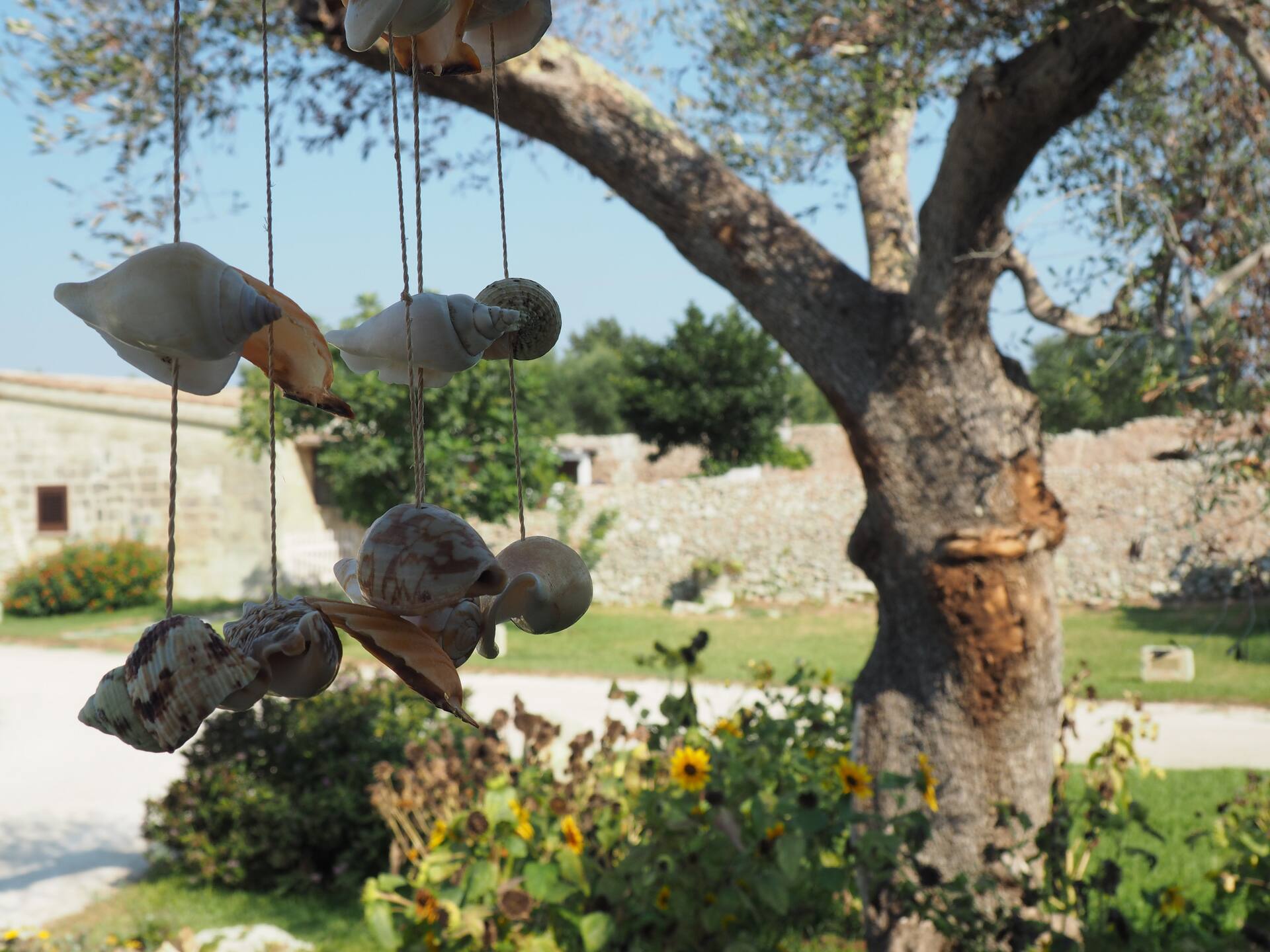 Salento Farmhouse - Corte Negroamaro — foto 5