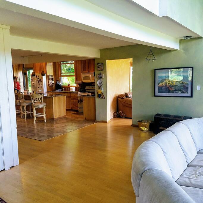 The kitchen and living area