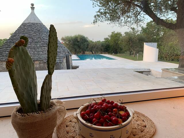 Residenza Lippolis – Top Villa with Pool in Puglia gallery image 2