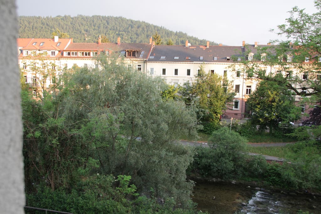 Southside of our house - Dreisam river