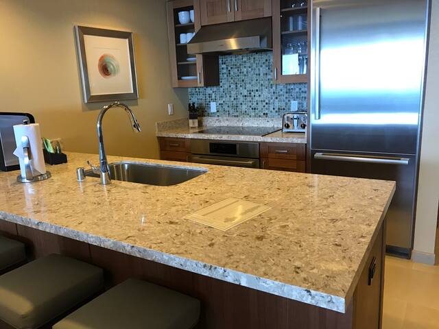 Hyatt Luxury Oceanfront (No cleaning/deposit fee!) gallery image 2