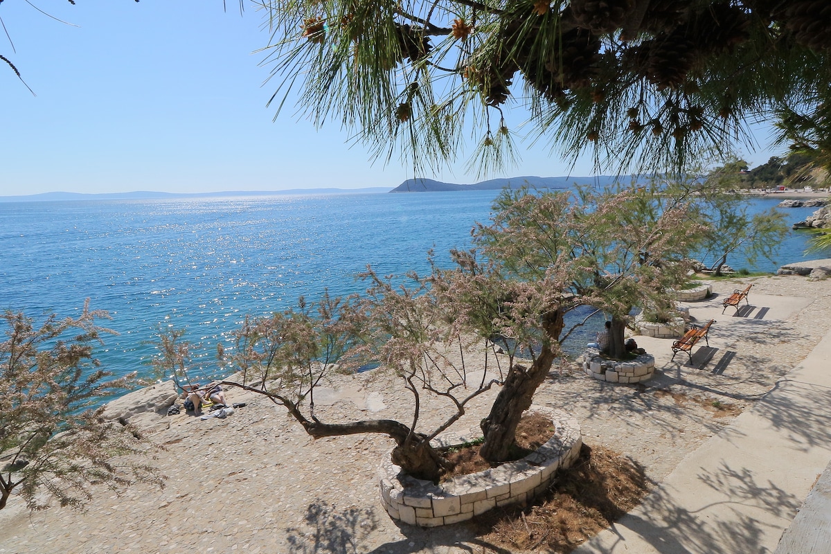 A scenic coastal area is depicted, showcasing calm blue waters and distant islands. Two benches are positioned along the shore amidst manicured trees with light foliage. A stone pathway runs beside the beach, inviting leisurely strolls by the water.