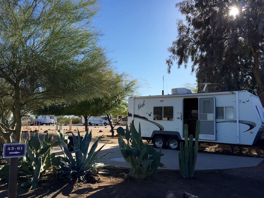 Enjoy the sunny AZ weather and warm, star-drenched nights