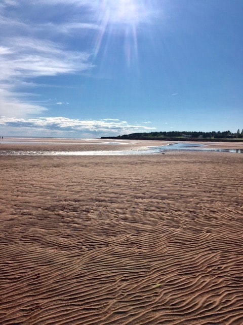 A sandy beach is visible, with gentle waves lapping at the shore under a bright blue sky. Patterns in the sand create texture, while distant trees line the horizon. The sunlight reflects on the water, enhancing the serene atmosphere.