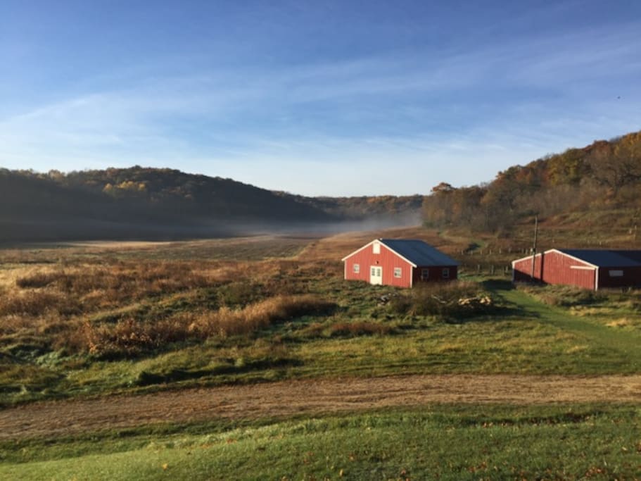 Our view of our 278 acres from Springdale Cottage