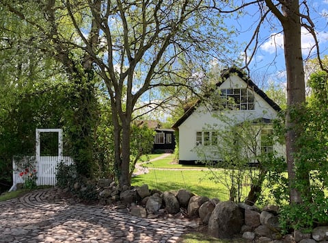 Interior Designer's Cozy Cottage