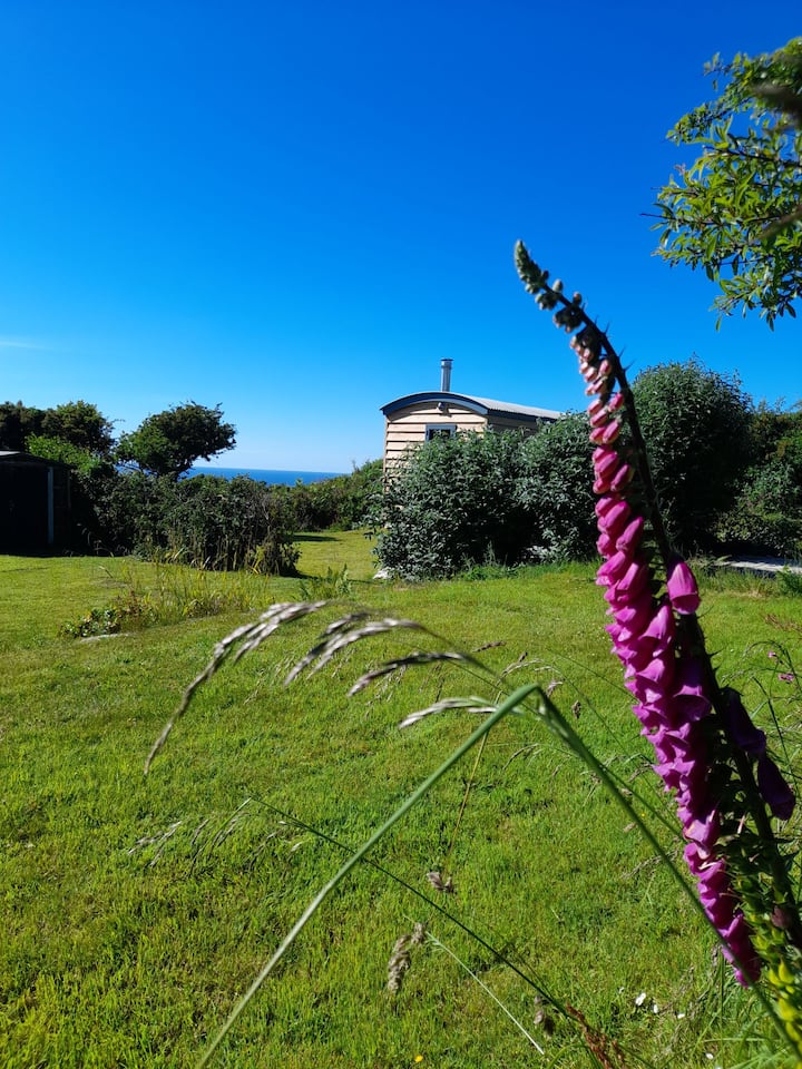 Shepherd's Hut overlooking the sea photo 4