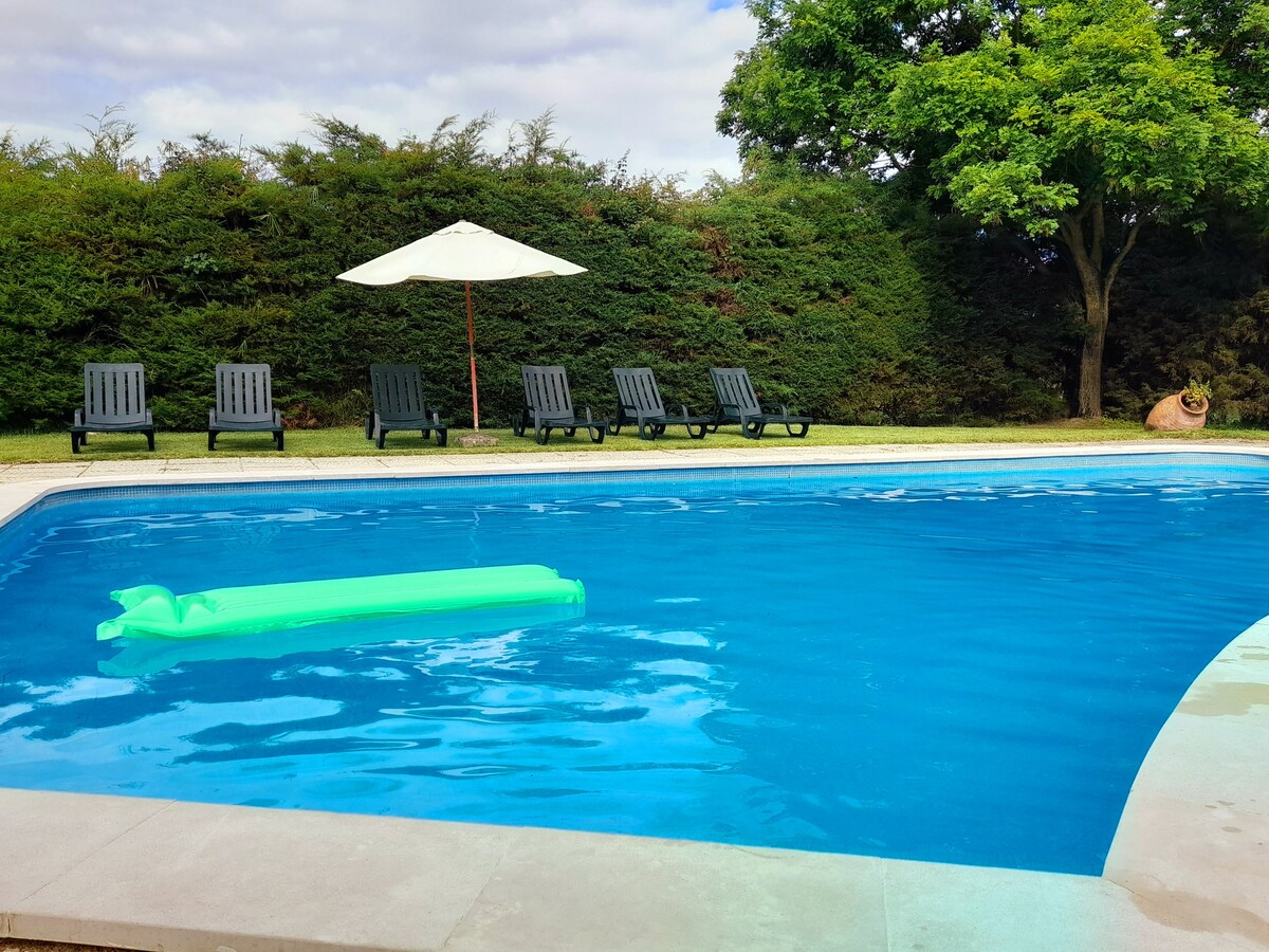 A serene pool area features a bright blue swimming pool with a green float resting on the water's surface. Several dark wooden loungers are arranged under an umbrella, surrounded by lush greenery and a well-maintained lawn.