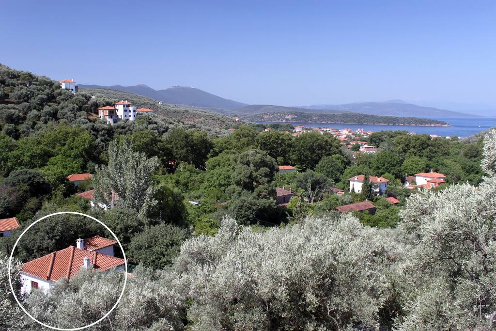 Aphroula's House - surrounded by trees