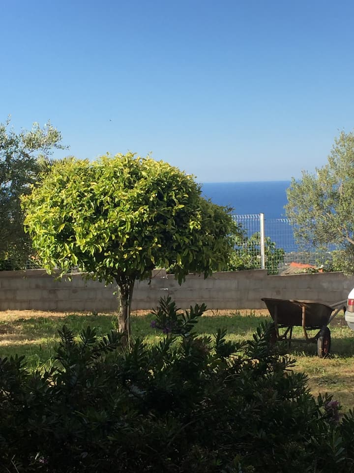 Location Estivale En Balagne - L'Île-Rousse
