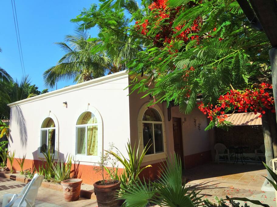 Casita Mermaid