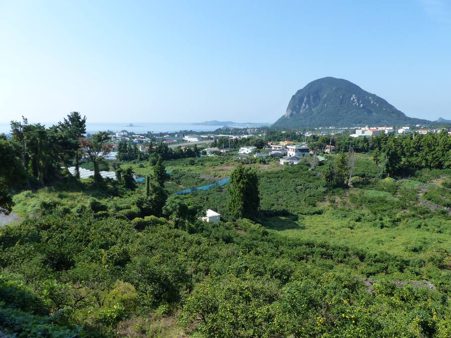 두블랑에서 산방산과 귤밭, 사계바다가 내려다보입니다. view from the house.
