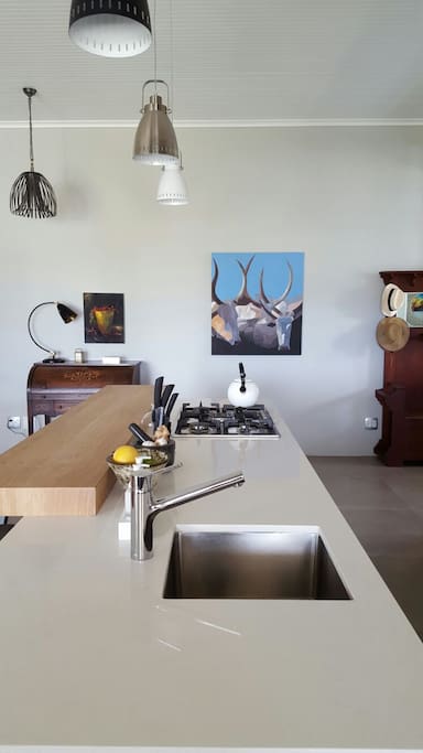 Modern open plan kitchen