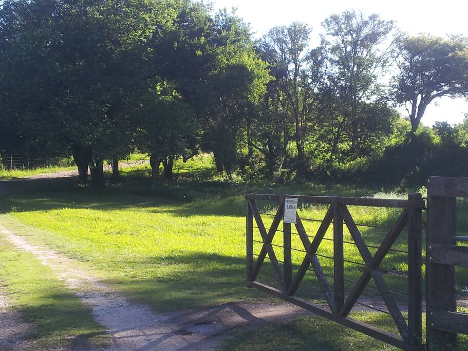 Ingreso al Campo