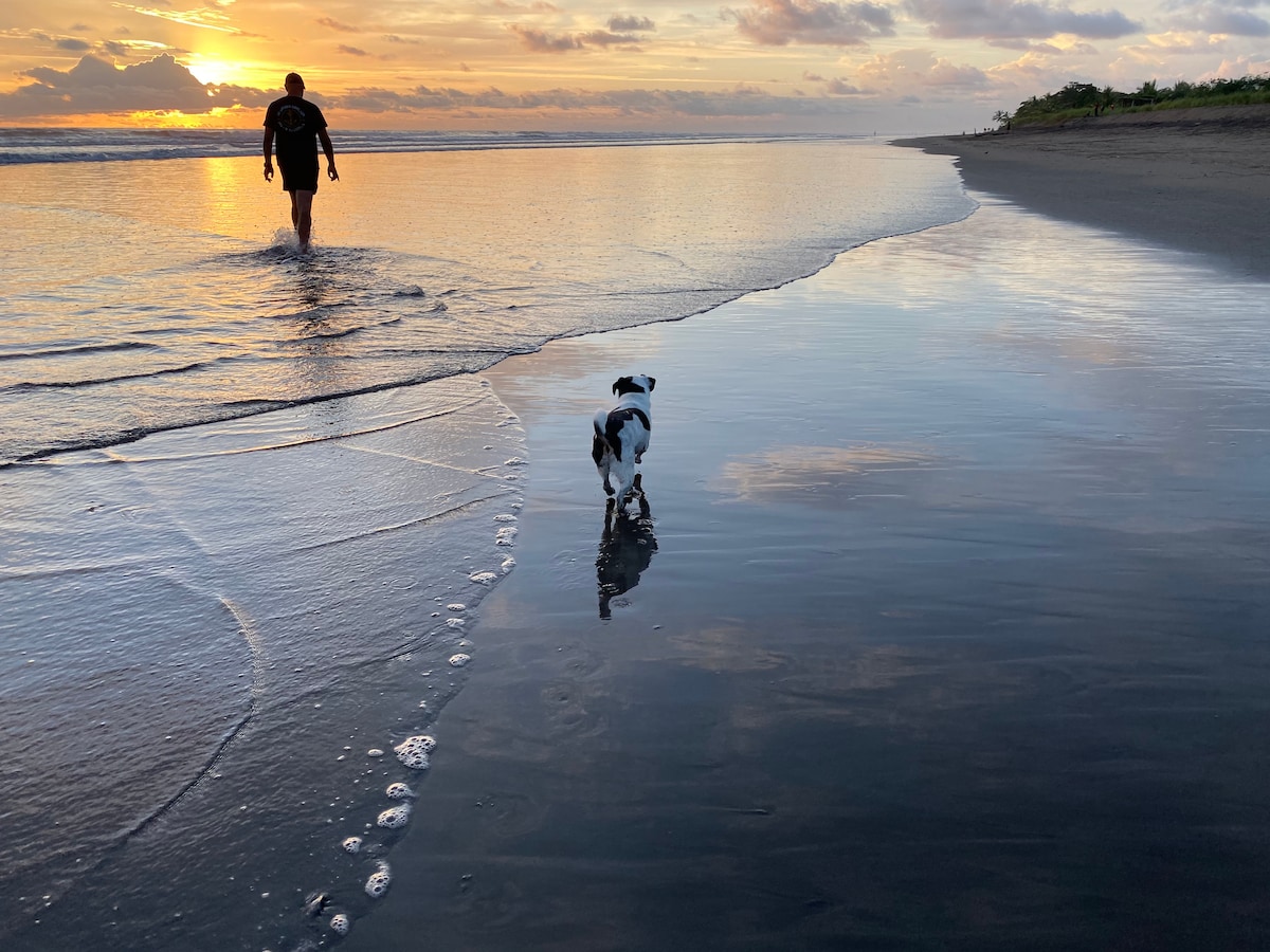 A tranquil beach scene captures a person walking along the shoreline, accompanied by a small dog. The setting sun casts warm hues across the horizon, reflecting on the wet sand, which showcases gentle waves lapping at the shore.