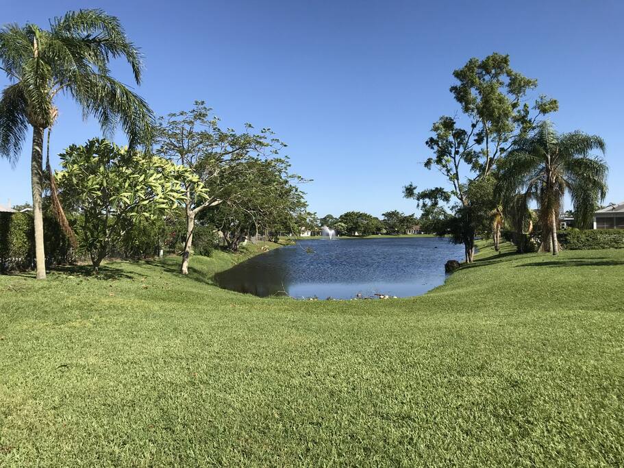 lake in the community