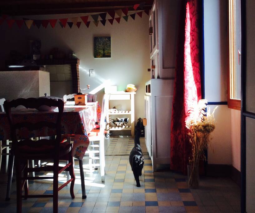 La pièce de vie et le chat Pito