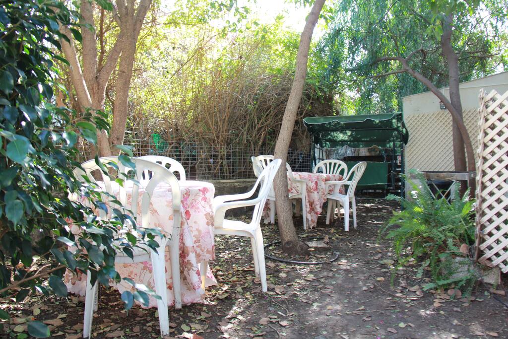 Backyard sitting area and bbq