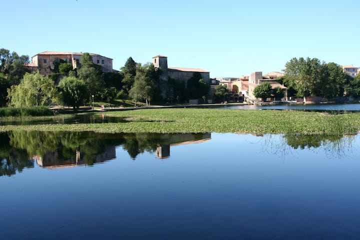 Provence Romantic Cottage Walk To Village Lake Houses For Rent In Besse Sur Issole Provence Alpes Cote D Azur France