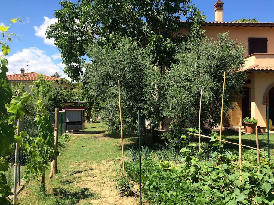 parte del giardino e Orto