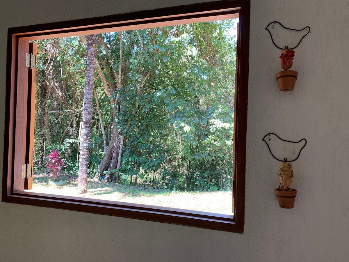 A large window frames a view of lush greenery, revealing trees and colorful plants outside. Two decorative bird-shaped wall hangings with small flower pots are positioned on the wall, adding a subtle touch of character to the space.