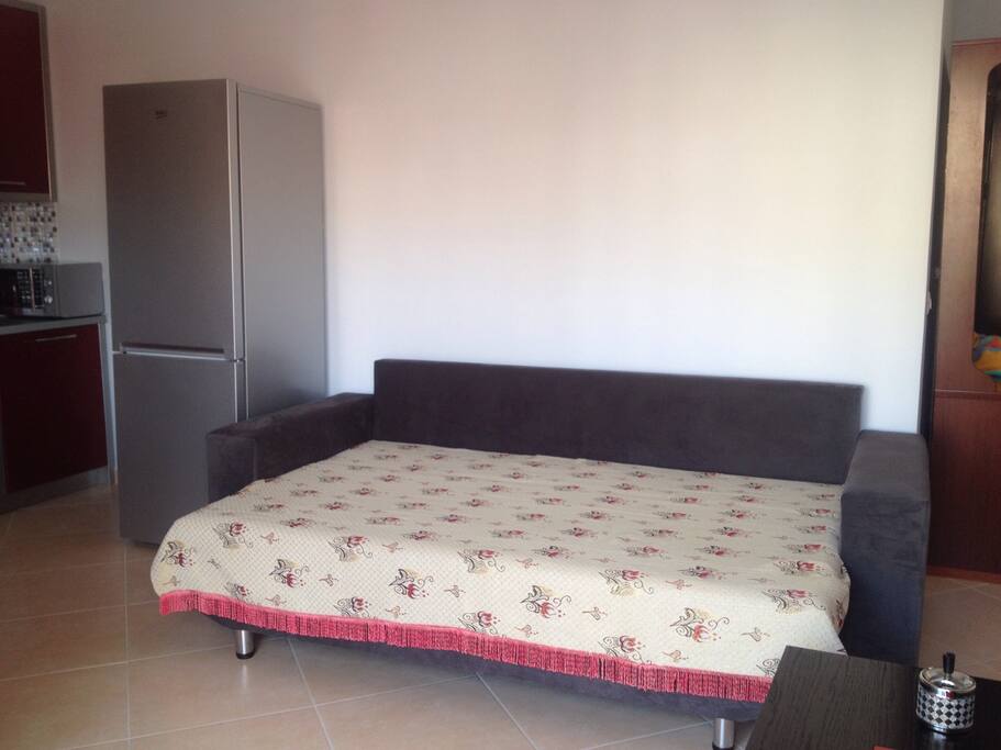 sofas in living room that open to queen size bed