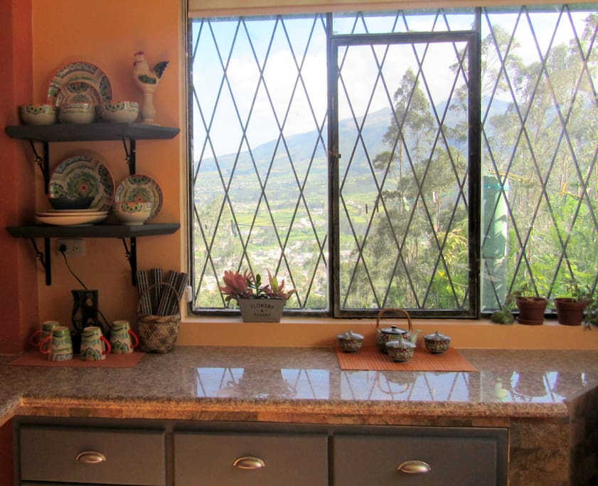 Mountain and garden views