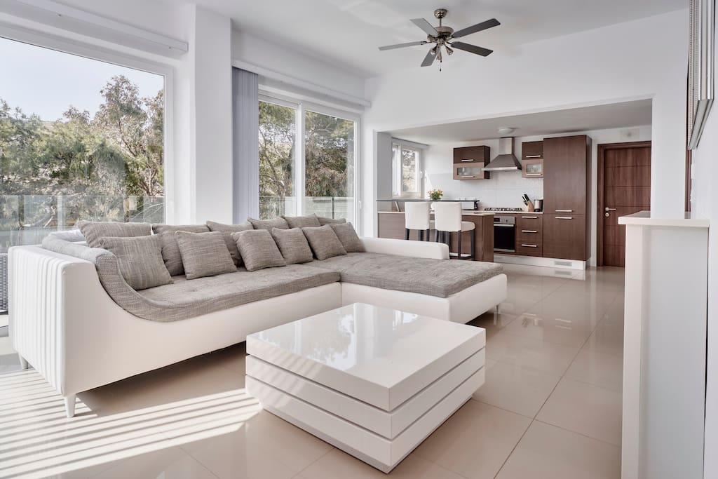 Living Area / Kitchen