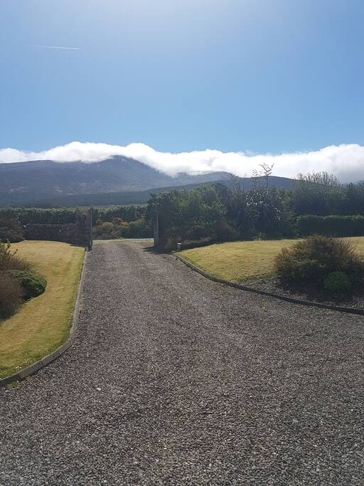 Drive way looking out