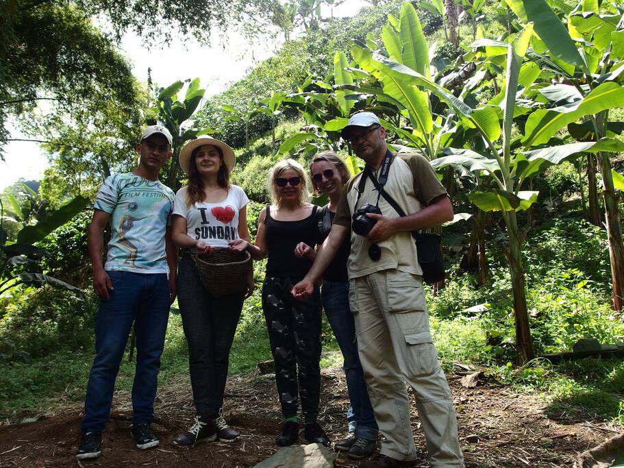 Puedes realizar senderismo pasando por los cultivos de café, llegando hasta la quebrada y observando el bambú gigante (Guadua)