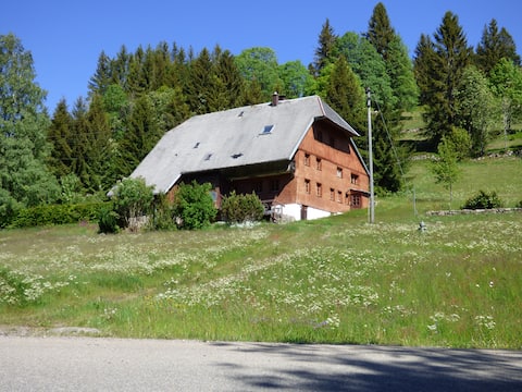 Popular Airbnb listing: Haslebachhus in Feldberg (Schwarzwald)