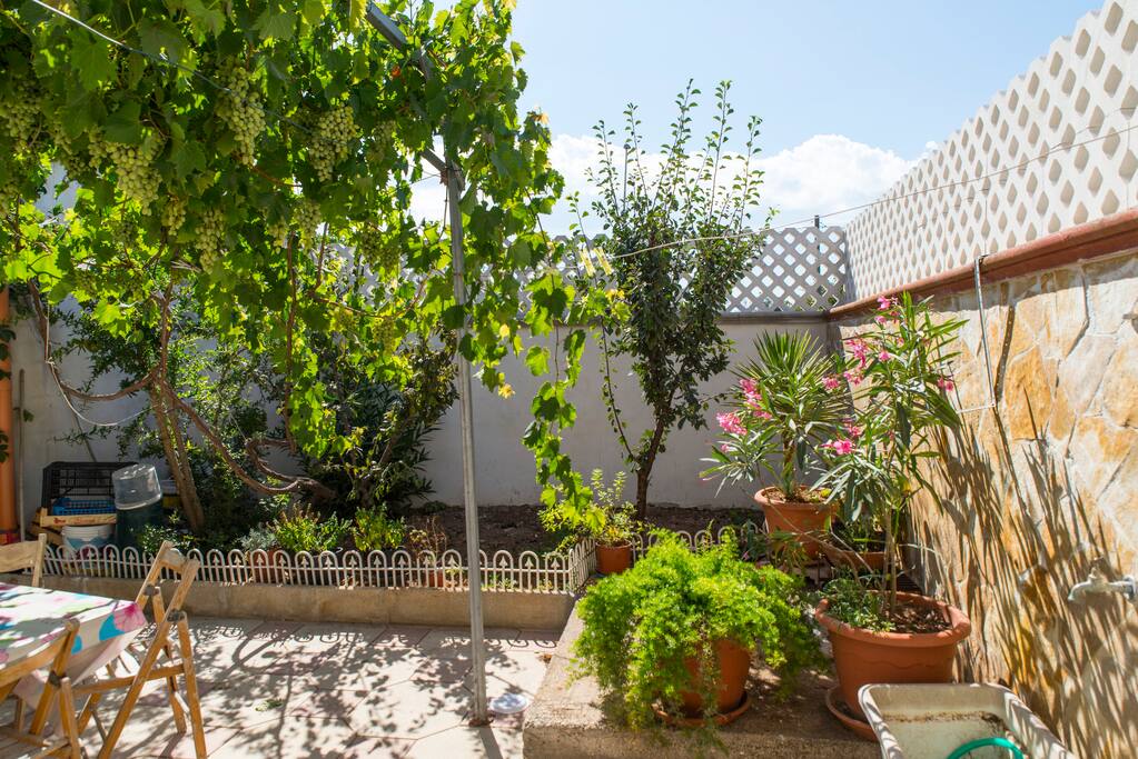 Back garden