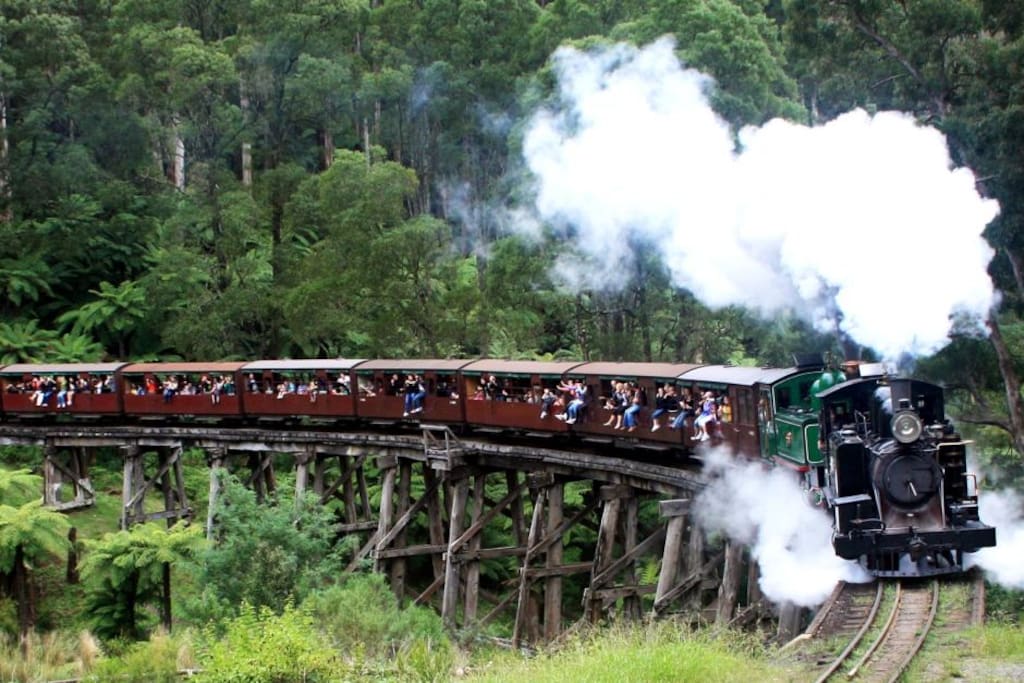 Our wonderful Puffing Billy