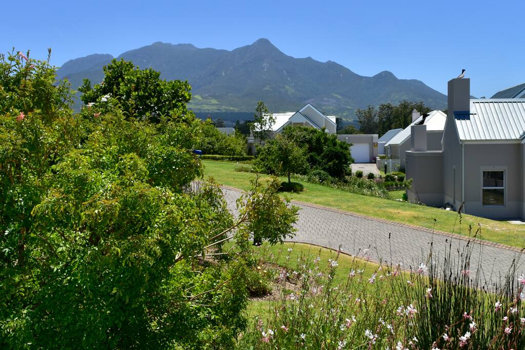 View for front door