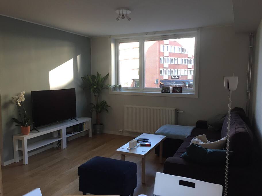 The living room with a TV