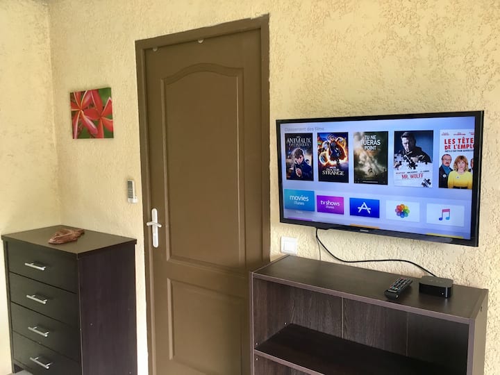 TV i pajisur me Netflix dhe Molotov.tv