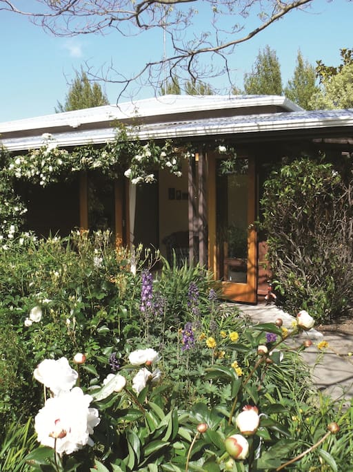Cottage Garden