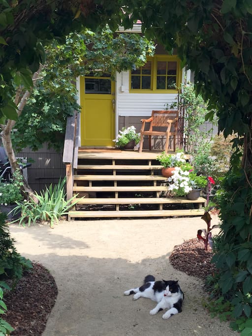 Just Up the Steps to the Bungalow Guest Suite. Theo the Cat Stays Outside But May Come to Greet You.